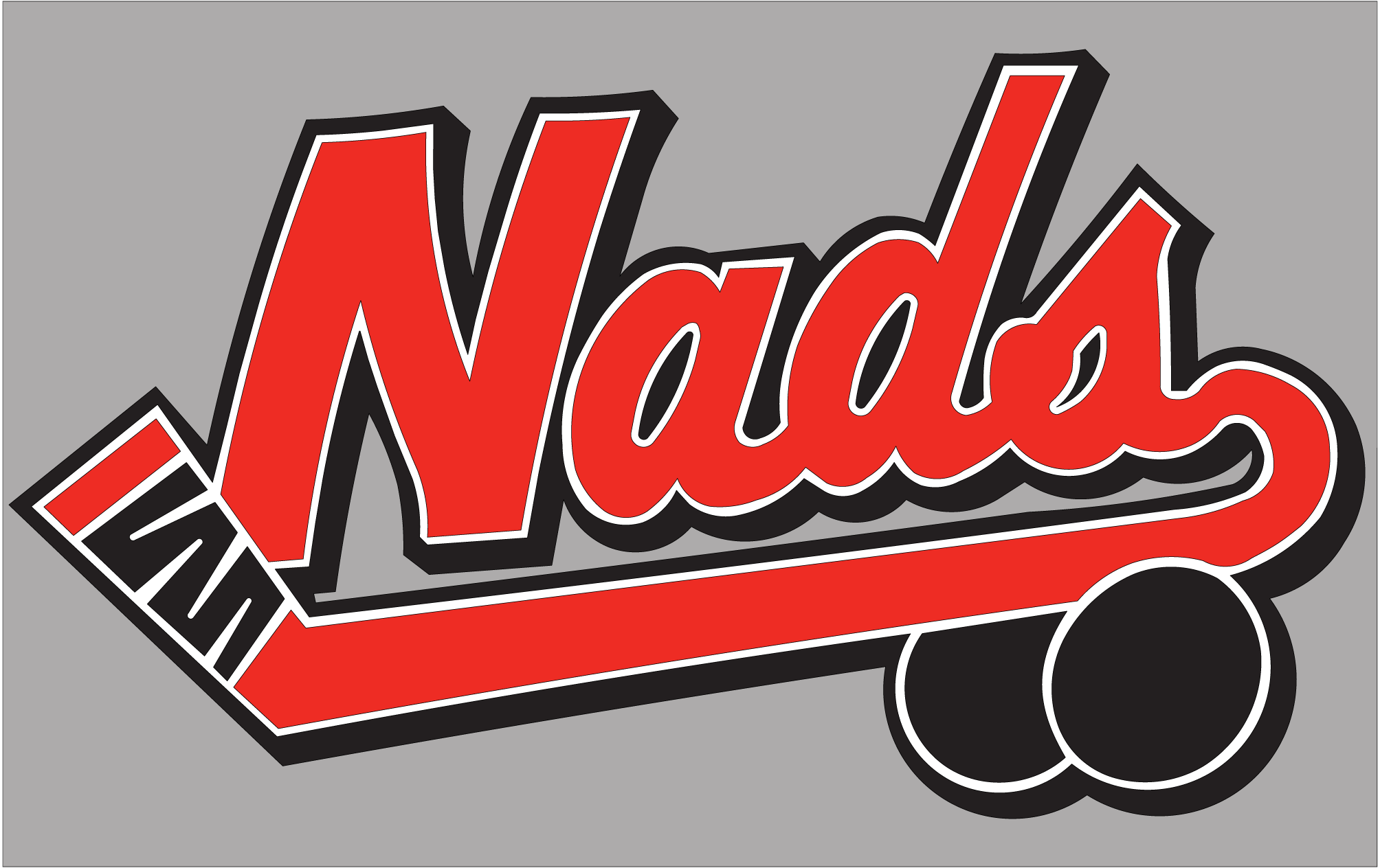Nads—RISD-Hockey-Logo-Vector