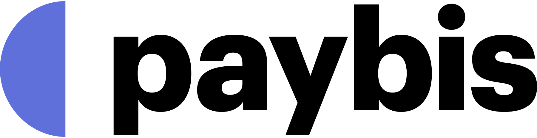 Paybis-Logo-Vector