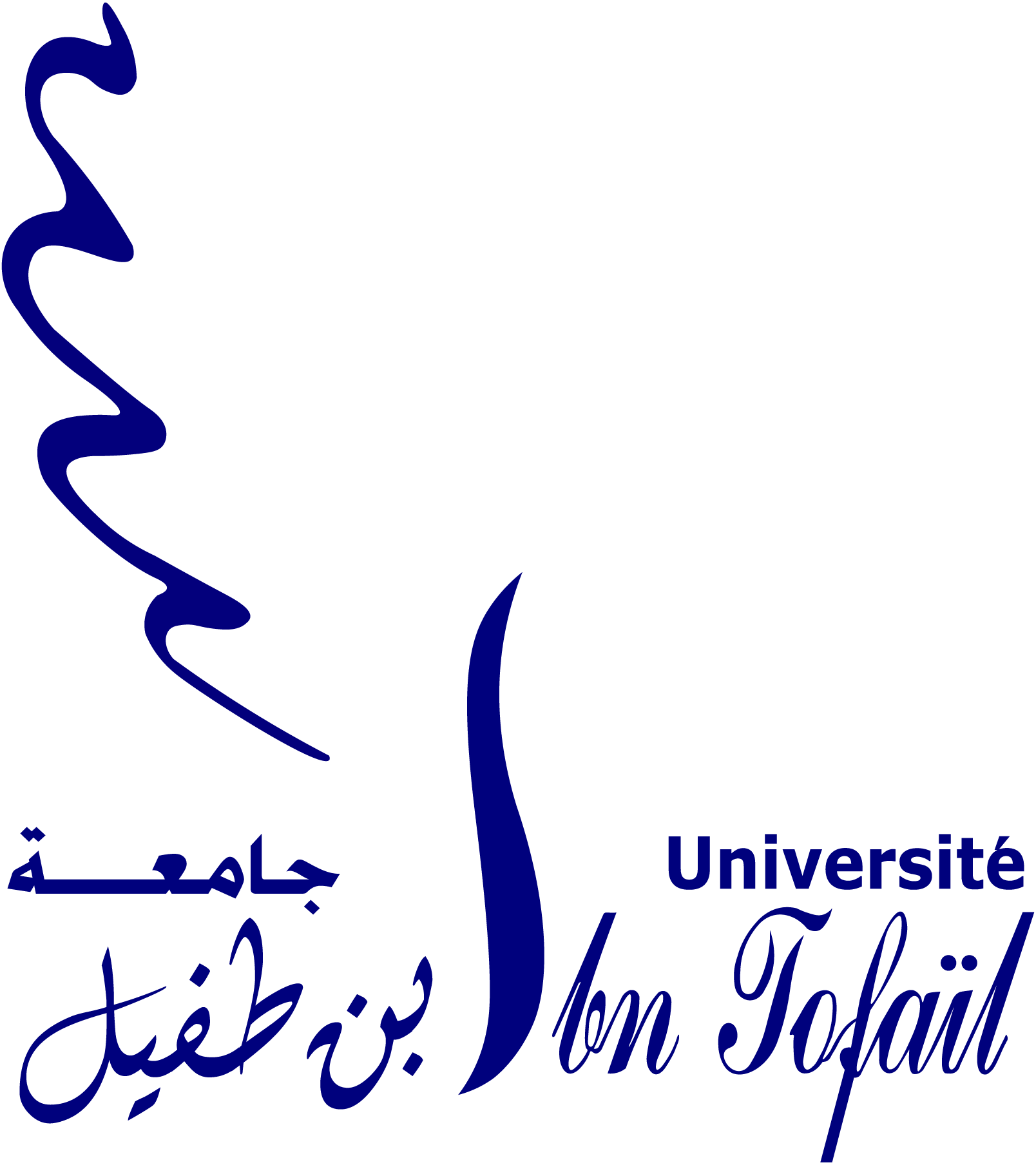 Université-Ibn-Tofaïl-Logo-Vector